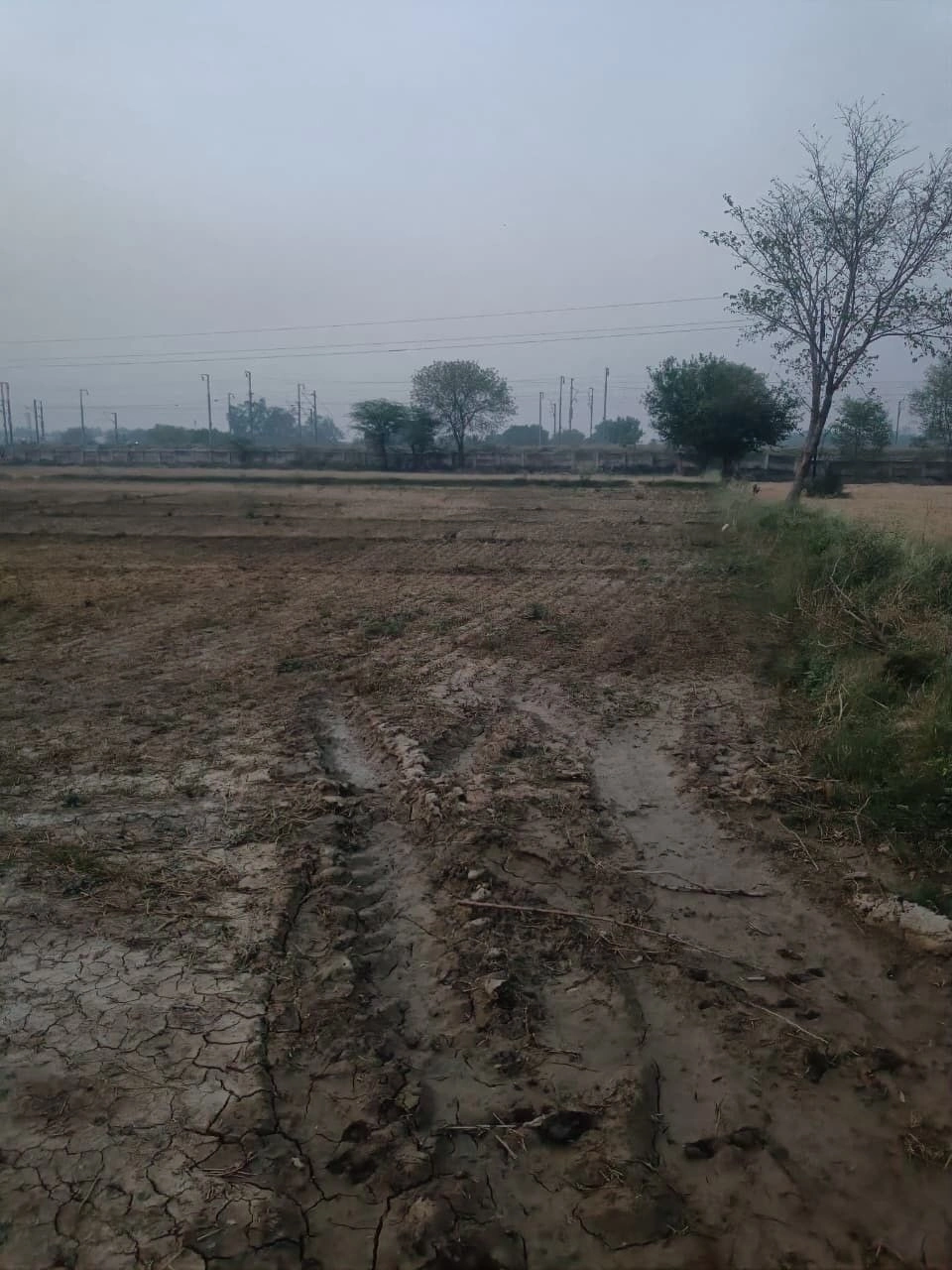 4927+RR9, Nalagola - Pakuahat - Malda Rd, Khiripara, West Bengal 732138, India