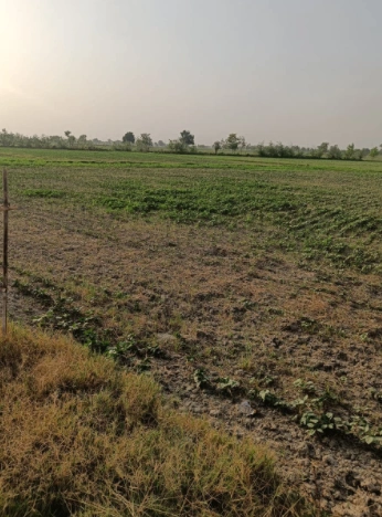 Malout, Punjab 152107, India