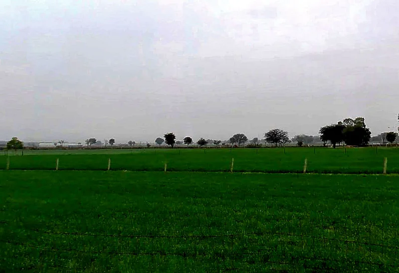 XGJ2+P2C, Bassi Naaga, Rajasthan 303124, India preview 3