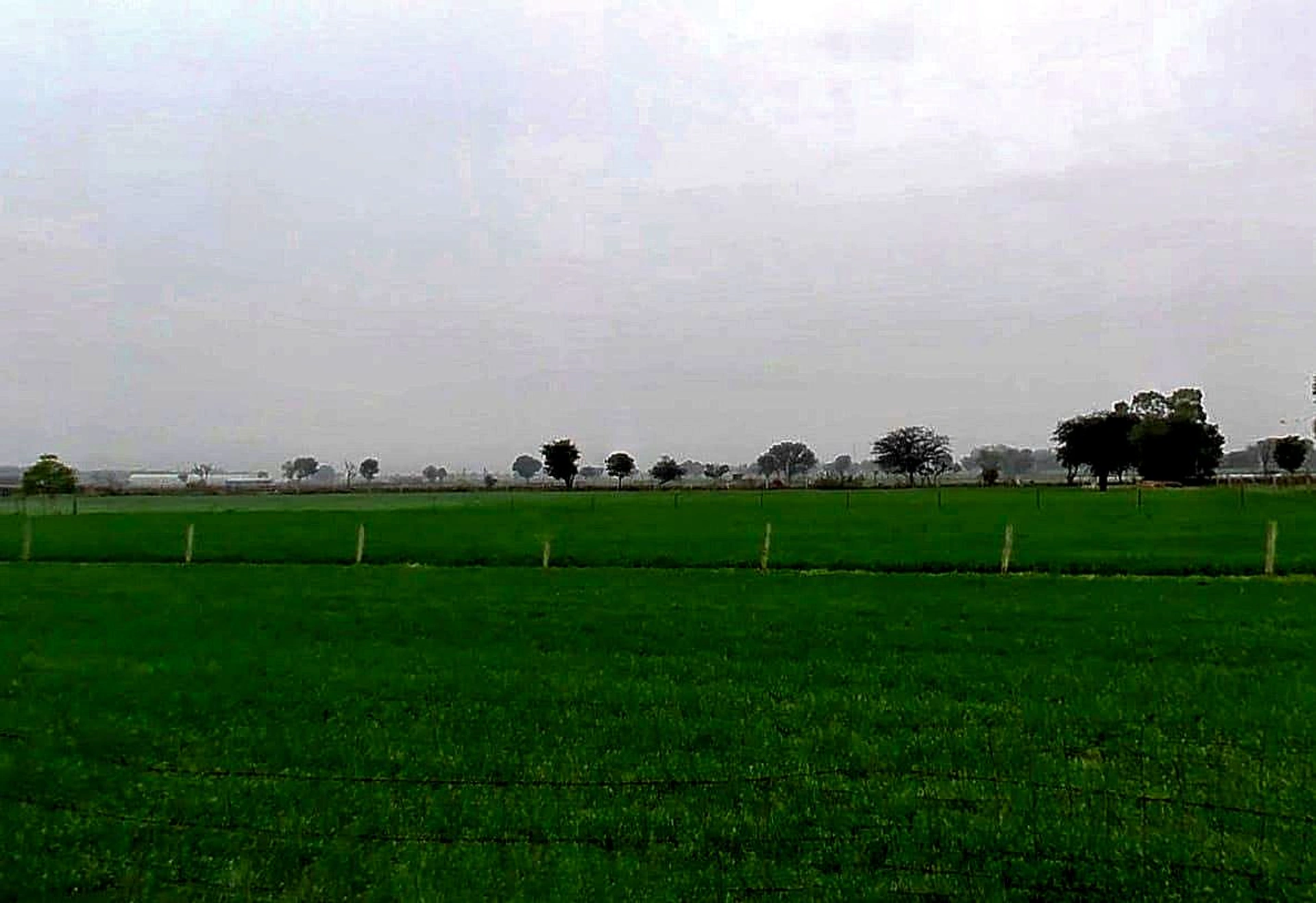 XGJ2+P2C, Bassi Naaga, Rajasthan 303124, India