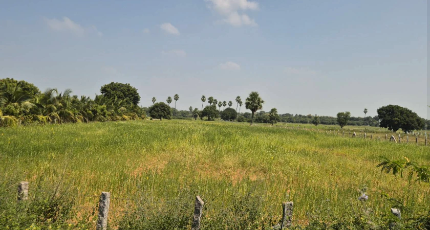 VX3C+62G, Nashik District, Sinnar, Maharashtra 422113, India - Photo 2