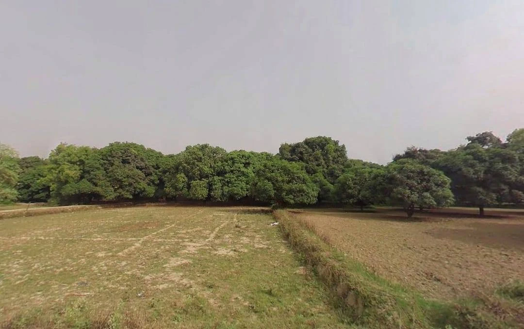 Malihabad, Uttar Pradesh 226102, India