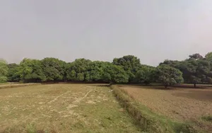 Malihabad, Uttar Pradesh 226102, India preview 3