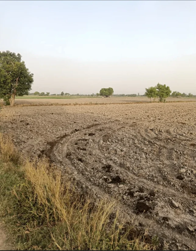 WCCV+RW Parli, Dausa, Rajasthan, India preview 2