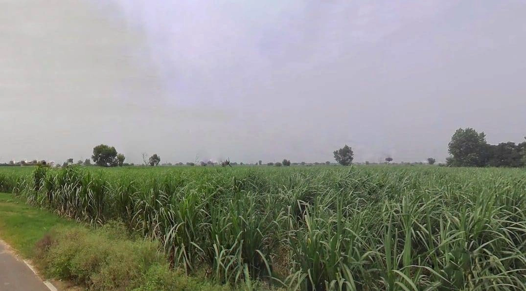QGC4+PXP, Muradnagar, Uttar Pradesh 201206, India