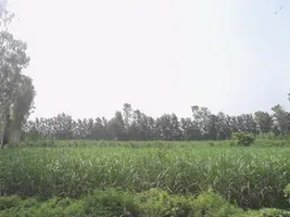 Kalsiya, Uttar Pradesh 247120, India preview 3