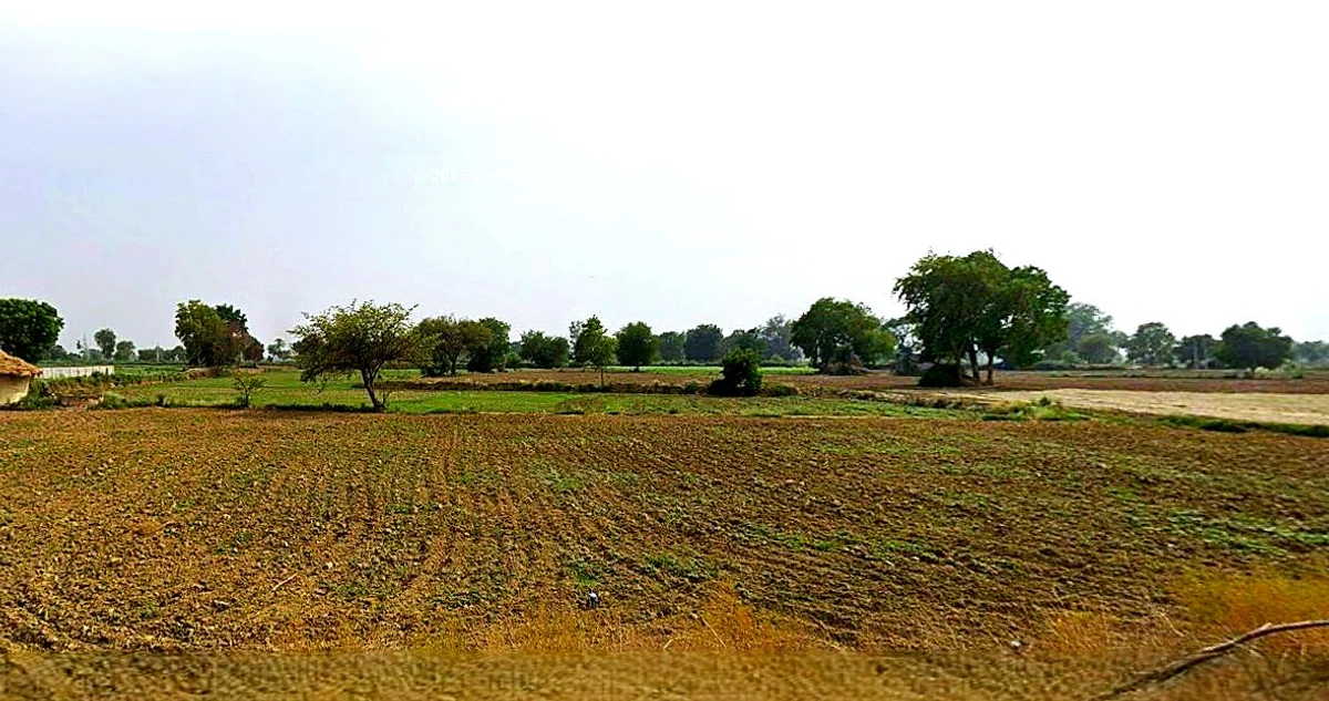 Chhata, Uttar Pradesh 281401, India