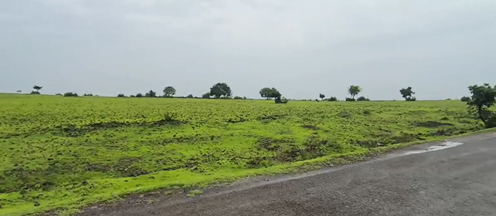 3J97+HF Karsgutti, Sangareddy, Telangana, India