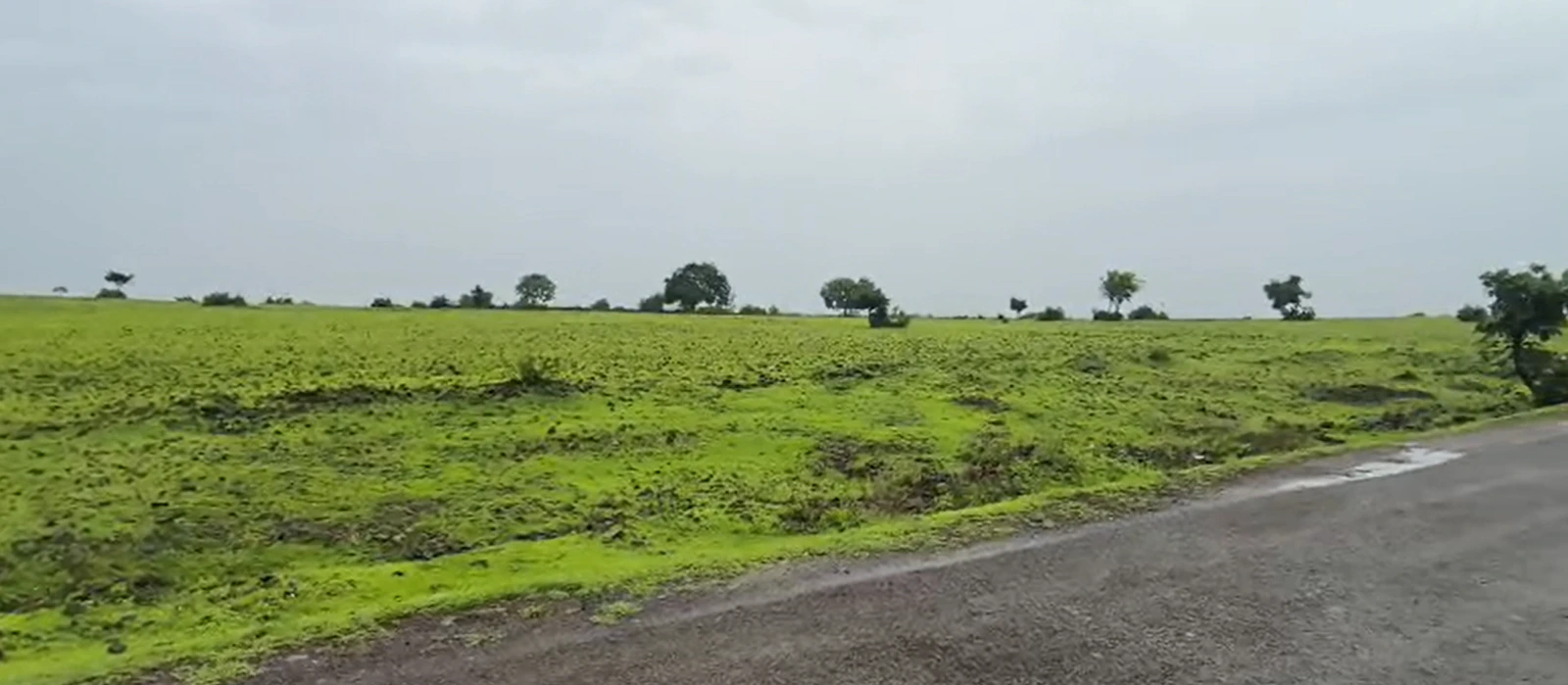 3J97+HF Karsgutti, Sangareddy, Telangana, India