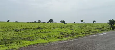 3J97+HF Karsgutti, Sangareddy, Telangana, India preview 4