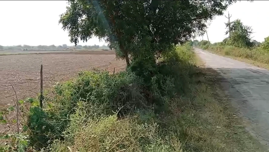 Q5XH+294, Bhiwani, Ninan, Haryana 127309, India - Photo 2