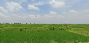 Shaltora, West Bengal 722143, India preview 2