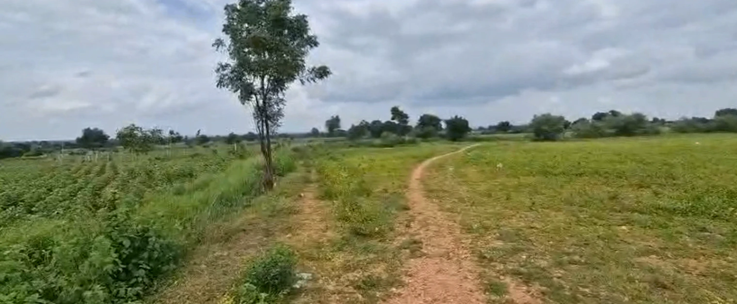 X54J+3JX, Mahabubnagar, Balanagar, Telangana 509202, India