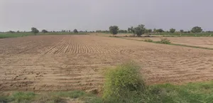 Chhatna, West Bengal 722132, India preview 3