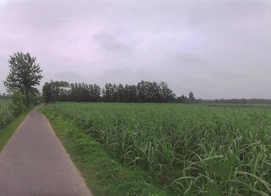 Jansath, Uttar Pradesh 251314, India preview 2