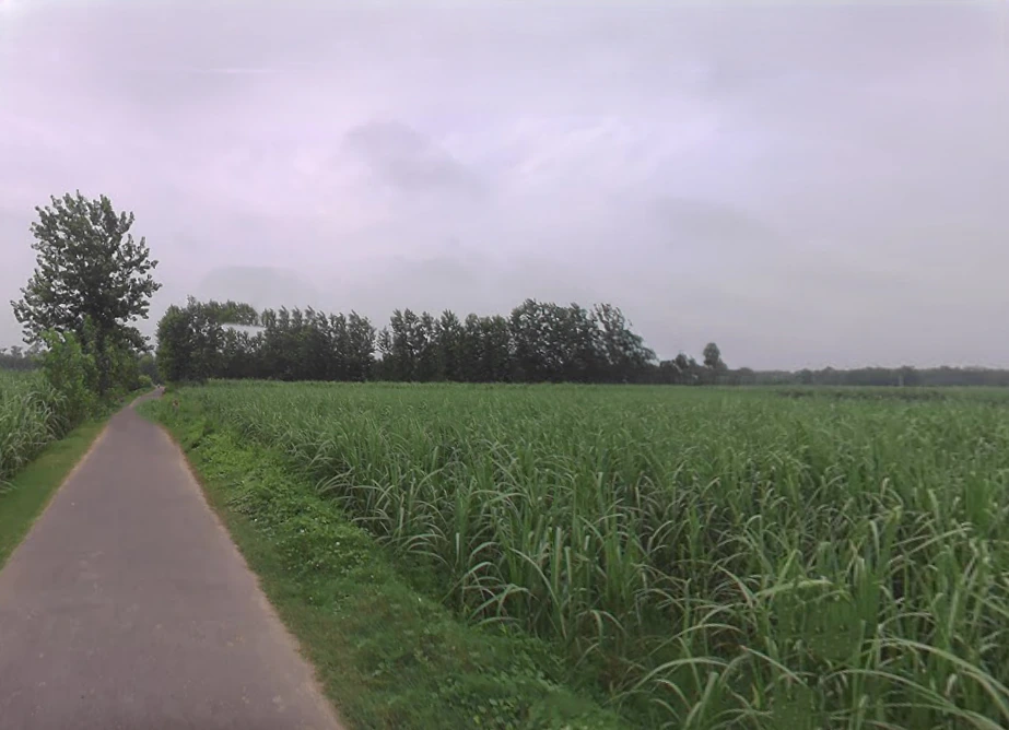 Jansath, Uttar Pradesh 251314, India