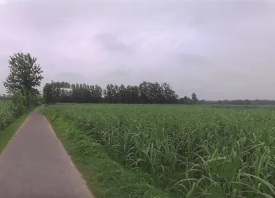 Jansath, Uttar Pradesh 251314, India preview 2