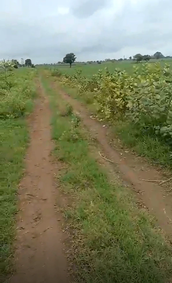 2FGM+679, Ujjain, Pirjhalar, Madhya Pradesh 456771, India