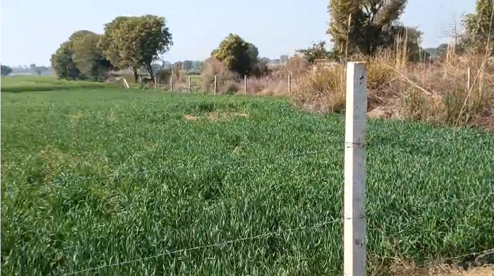 7R93+H7P, Sidhauli - Misrikh Rd, Badi, Uttar Pradesh 261303, India
