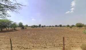 Keshwana, Rajasthan 343001, India preview 2