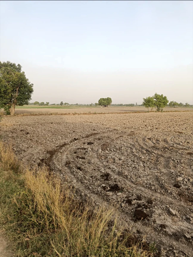 Dr. Ambedkar Nagar, Madhya Pradesh 453441, India