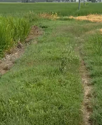 Lalru, Punjab, India - Photo 2