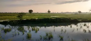 Helak, Rajasthan, India preview 4