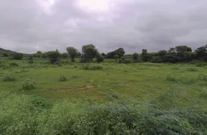Ked, Rajasthan, India preview 3