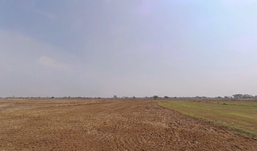 Saoni, Chhattisgarh 491111, India