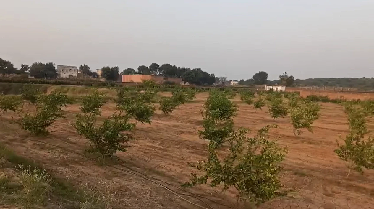 62FR+G85, Sehsaula, Haryana, India