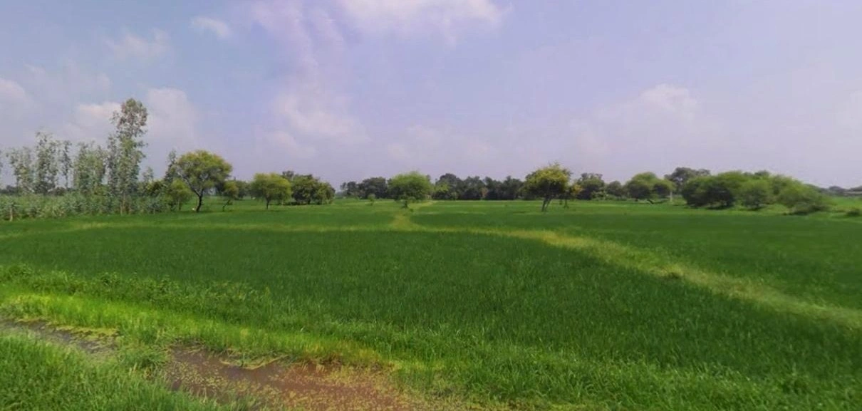 Barnagar, Madhya Pradesh 456771, India
