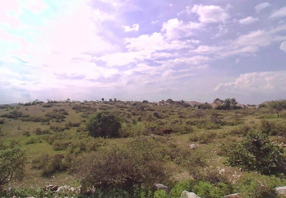 GWW5+5W Asawara, Rajasthan, India