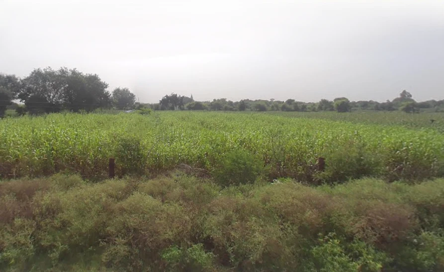 Jatipura, Uttar Pradesh, India