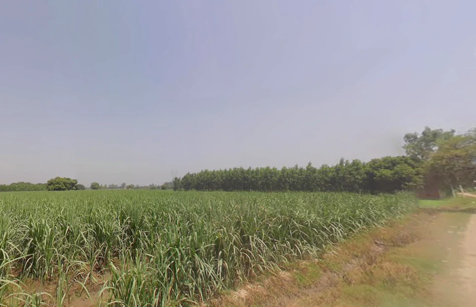 2RX4+8CF, Incholi, Uttar Pradesh 250001, India