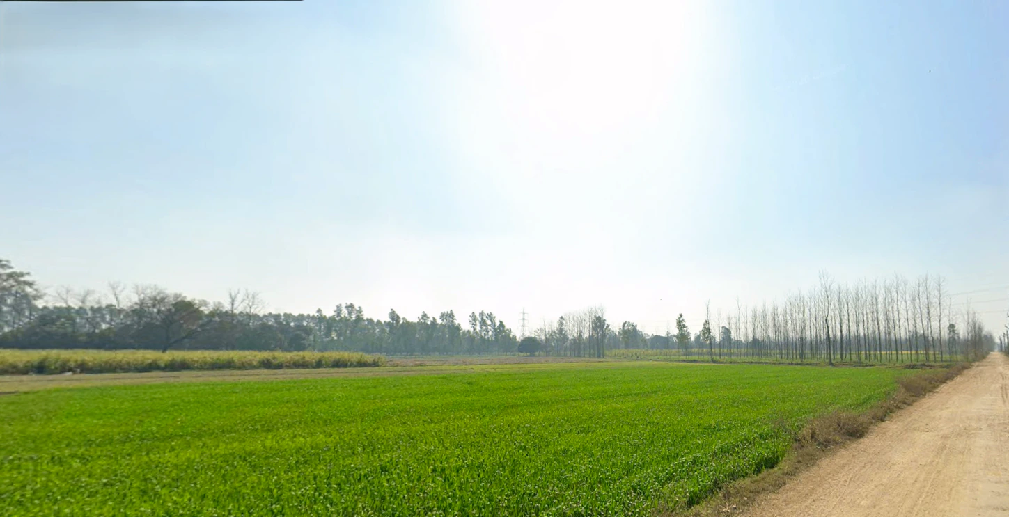Dharmawala, Herbertpur, Uttarakhand 248142, India