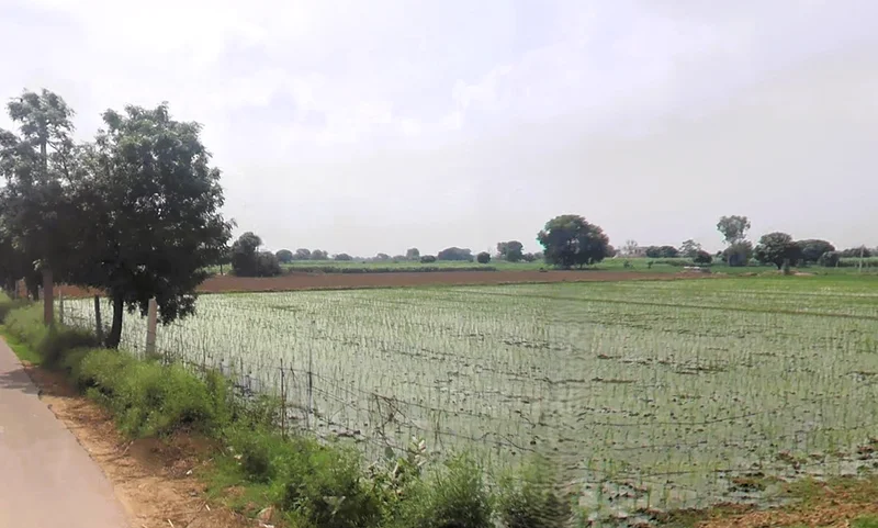 Hisar, Haryana, India preview 2