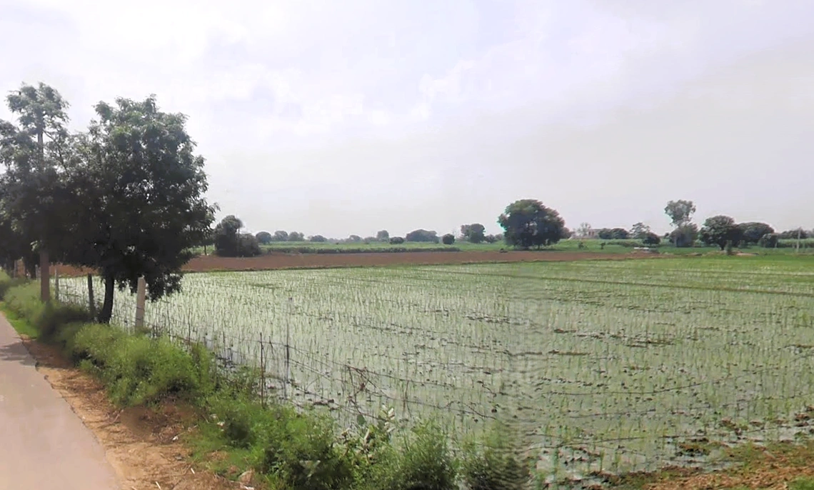 Hisar, Haryana, India