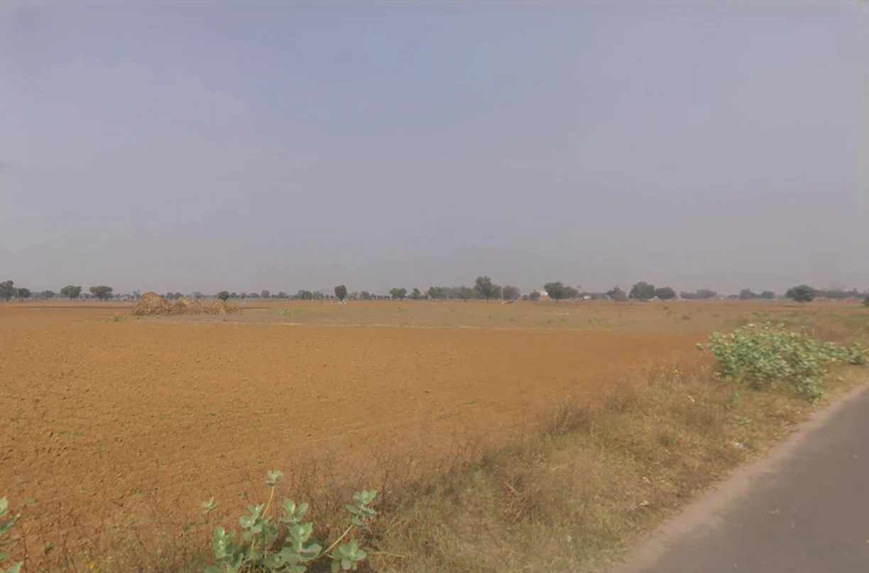 Nangal Chaudhary, Haryana 123023, India