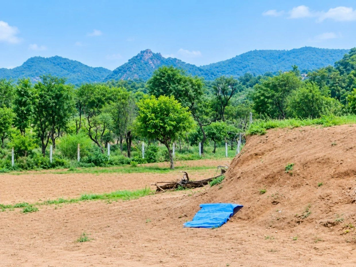 Neemawas, Sikar, Rajasthan 332702, India