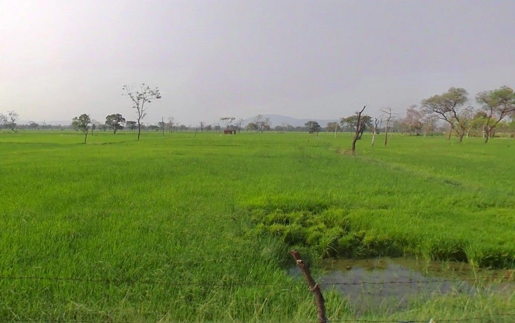 Khaira, Chhattisgarh 493118, India preview 3