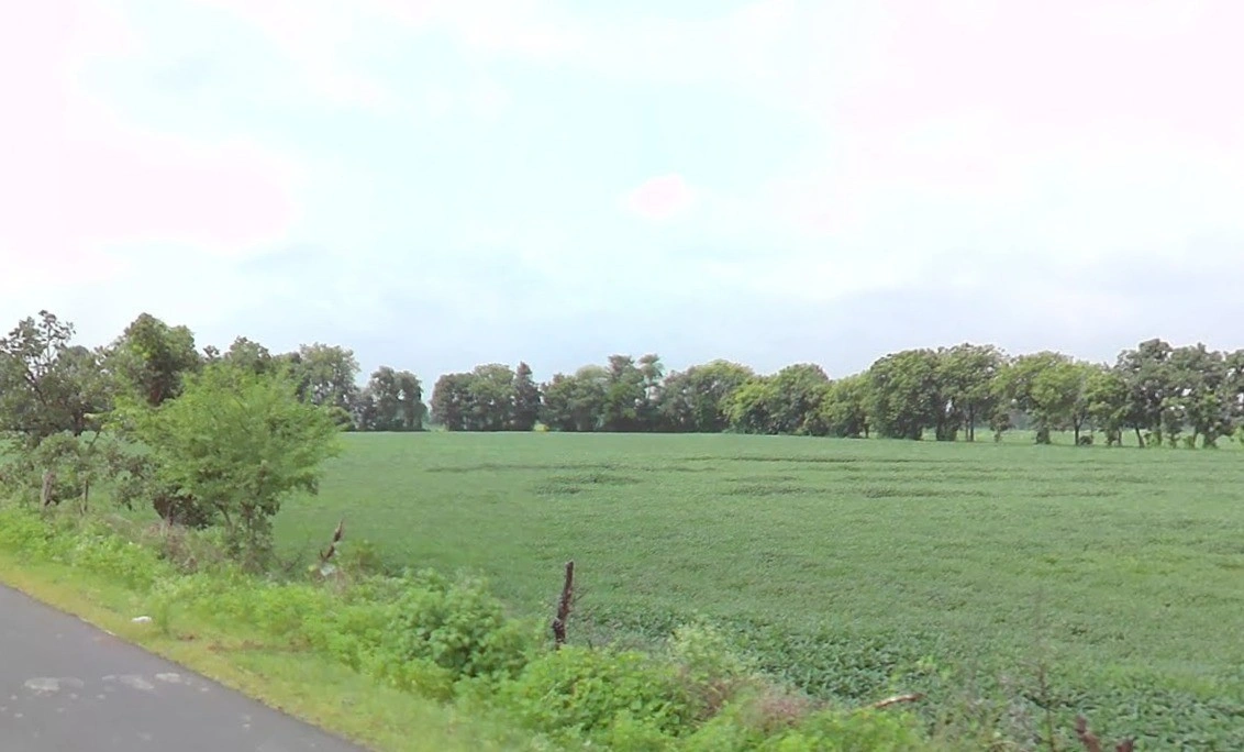 Chichli, Madhya Pradesh 487770, India