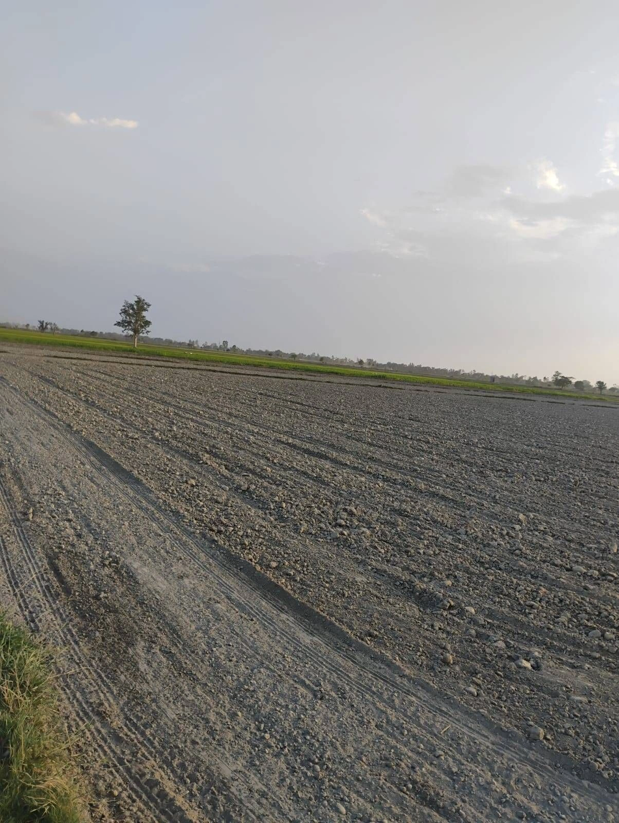 Bishambhara, Uttar Pradesh 281404, India