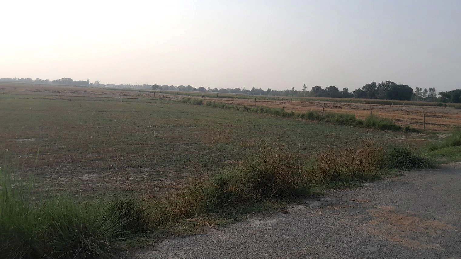 M5X3+W8 Nazibpur, Uttar Pradesh, India