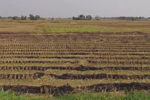 Jhalap, Chhattisgarh 493551, India preview 3