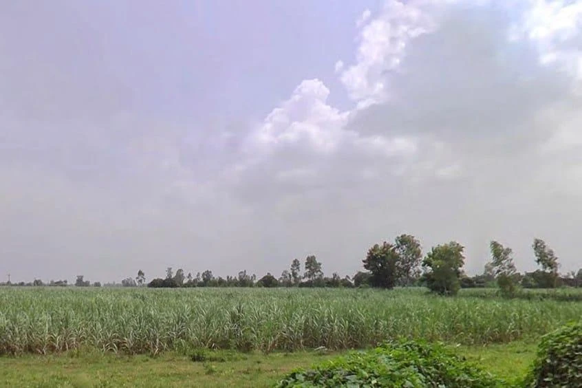 7772+J8C, Hitauta, Hitauti, Uttar Pradesh 242405, India