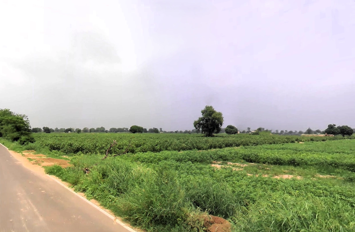 Hisar, Haryana, India