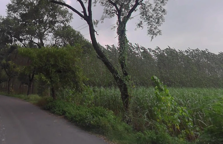 Rampur Maniharan Dehat, Uttar Pradesh 247451, India