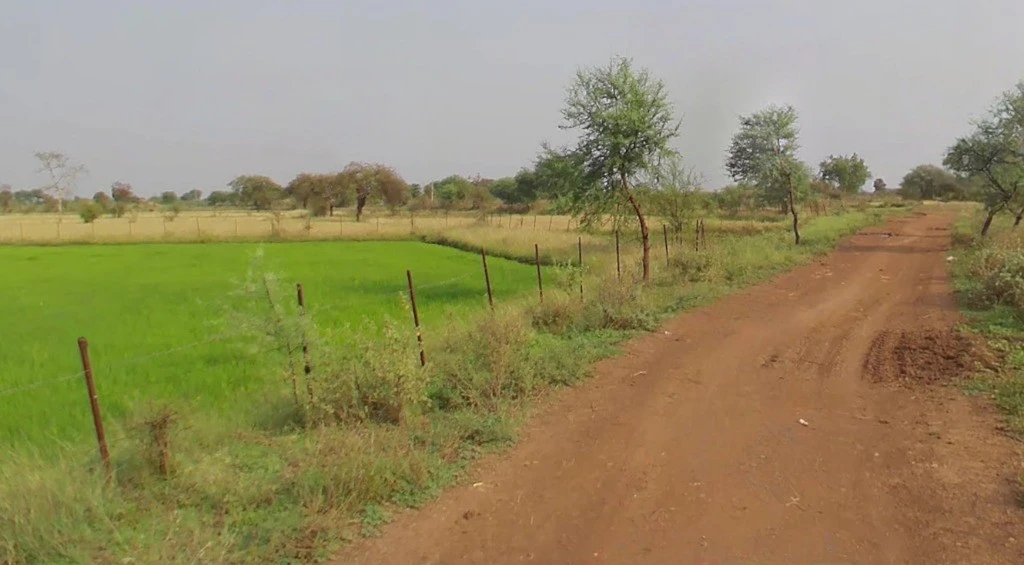 Sungera, Chhattisgarh 493221, India