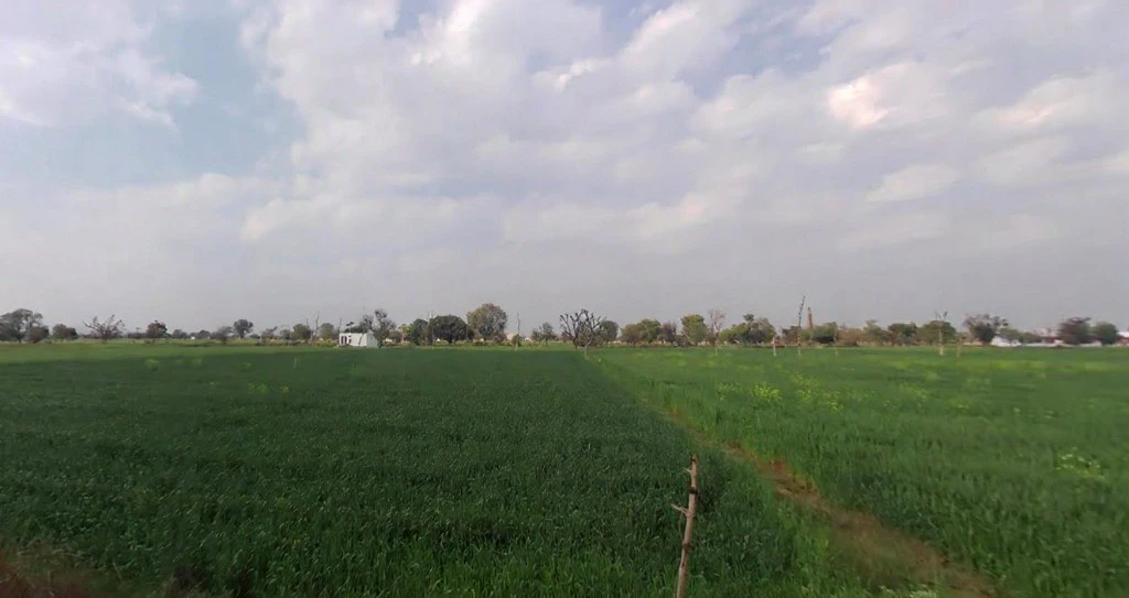 Mala Khera, Rajasthan 301406, India