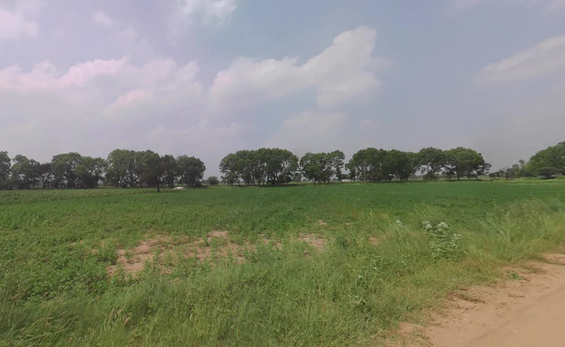 Tosham, Haryana 127040, India